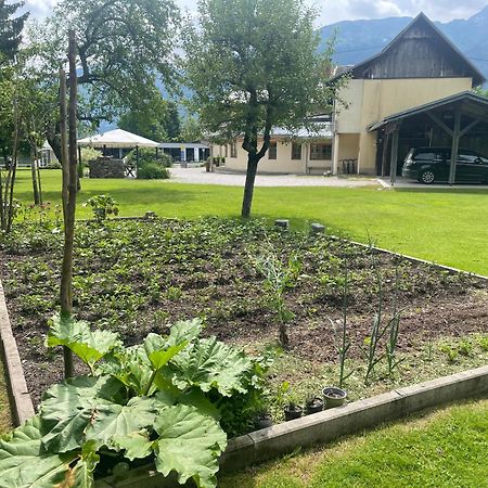 Pension Lipicer Kotschach-Mauthen Exteriér fotografie